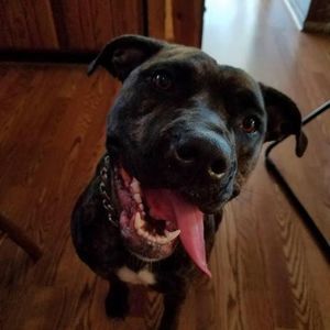 Meet your Posher, Scott